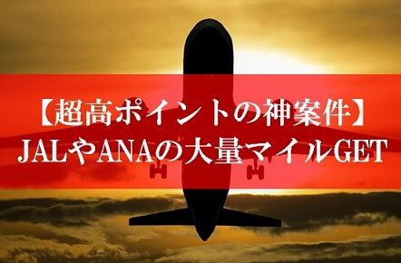 陸マイラーの超高ポイント