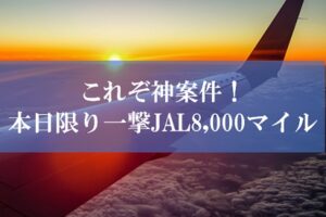 本日限りのJALマイル